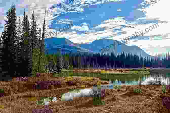 A Breathtaking Landscape Painting Depicting A Serene Mountain Lake, Capturing The Vastness Of Nature And Its Tranquil Beauty. Amazing Crayon Drawing With Lee Hammond: Create Lifelike Portraits Pets Landscapes And More