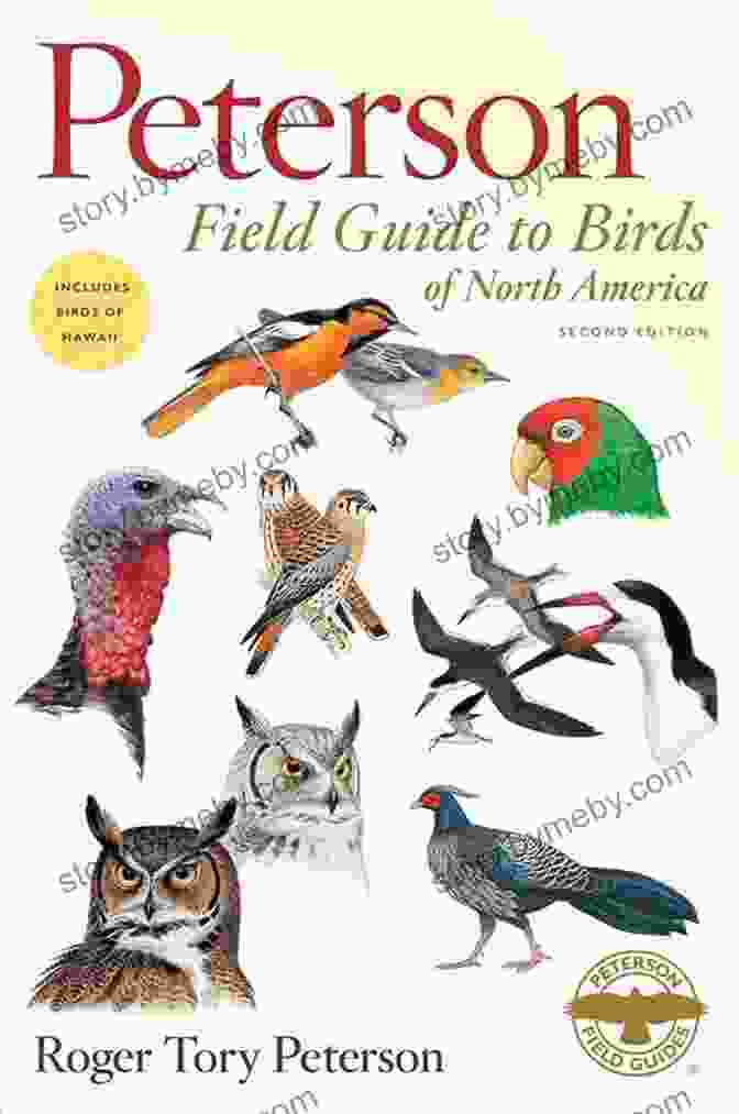 A Comprehensive Field Guide To Identifying North American Birds Pete Dunne S Essential Field Guide Companion: A Comprehensive Resource For Identifying North American Birds