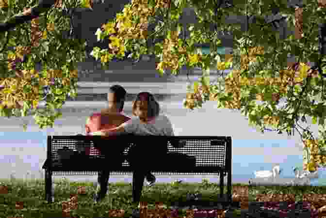 A Lone Figure Sitting On A Park Bench, Their Gaze Distant And Reflective, Symbolizing The Introspection And Emotional Depth Explored In The Story. Lovebird Short Story