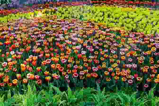 A Lush And Vibrant Garden In Bloom. The Ever Curious Gardener: Using A Little Natural Science For A Much Better Garden