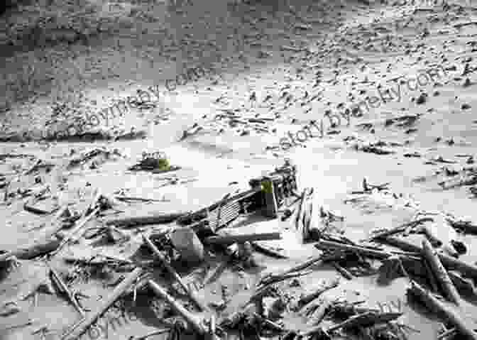 A Man Covered In Ash Stands In Front Of A Destroyed Building After The Eruption Of Mount St. Helens In 1980. I Survived The Eruption Of Mount St Helens 1980 (I Survived #14)