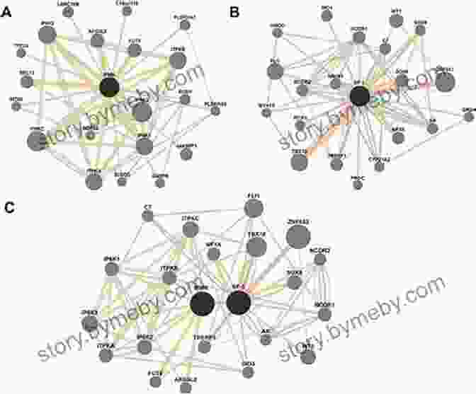 A Map Of Interconnected Migration Pathways The Next Great Migration: The Beauty And Terror Of Life On The Move