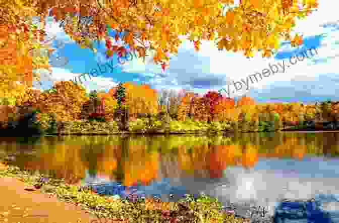 A Panoramic View Of An Arctic Autumn Landscape, Featuring Vibrant Fall Foliage, Snow Capped Mountains, And A Shimmering Lake. Arctic Autumn: A Journey To Season S Edge