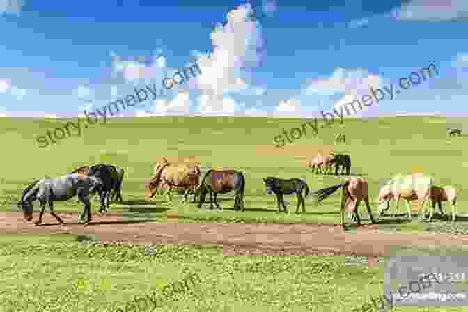 A Panoramic View Of The Mongolian Steppe, With A Herd Of Horses Grazing In The Distance Lonely Planet Mongolia (Travel Guide)