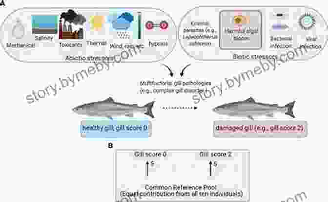 A Researcher Studies Salmon Data On A Computer, Her Expression Reflecting Concern For The Species' Future. King Of Fish: The Thousand Year Run Of Salmon