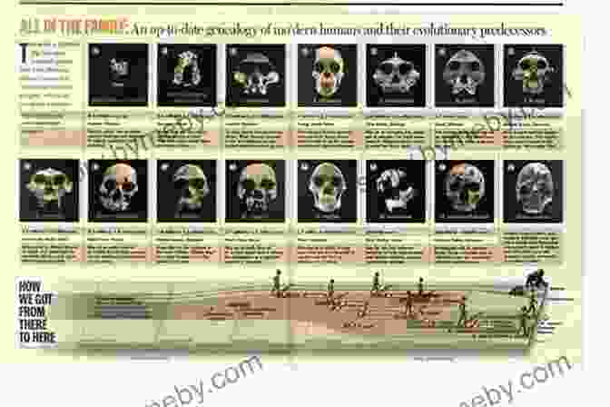 Before Adam Illustrated Book Cover Featuring A Human Skull And Fossils Before Adam Illustrated