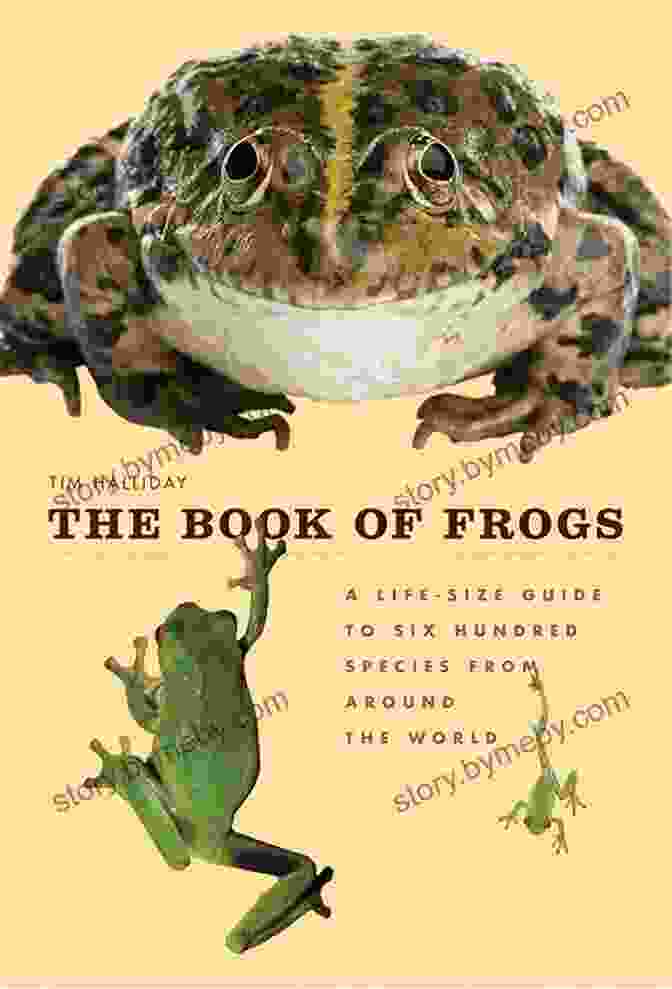 Book Cover Of 'Frogs: Weird And Wonderful' By Leah Ingledew Frogs: Weird And Wonderful Leah Ingledew