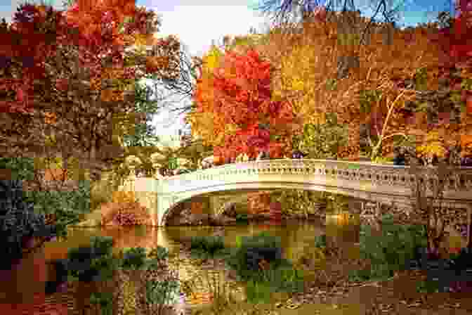 Central Park In Autumn Lonely Planet New York City (Travel Guide)