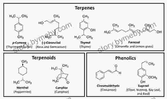 Chemical Structure Of Essential Oils Enhancing Our Lives With Essential Oils