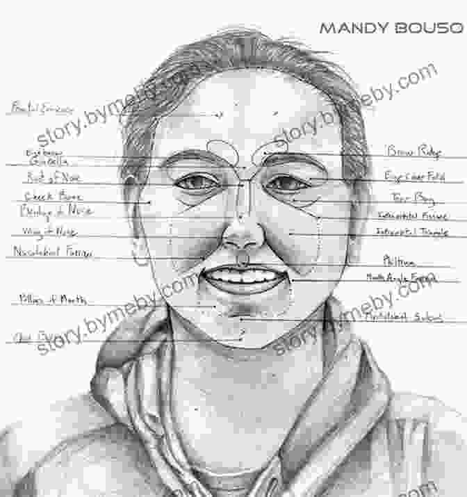 Detailed Illustration Of Facial Anatomy For Caricature The Art Of Caricaturing: Making Comics