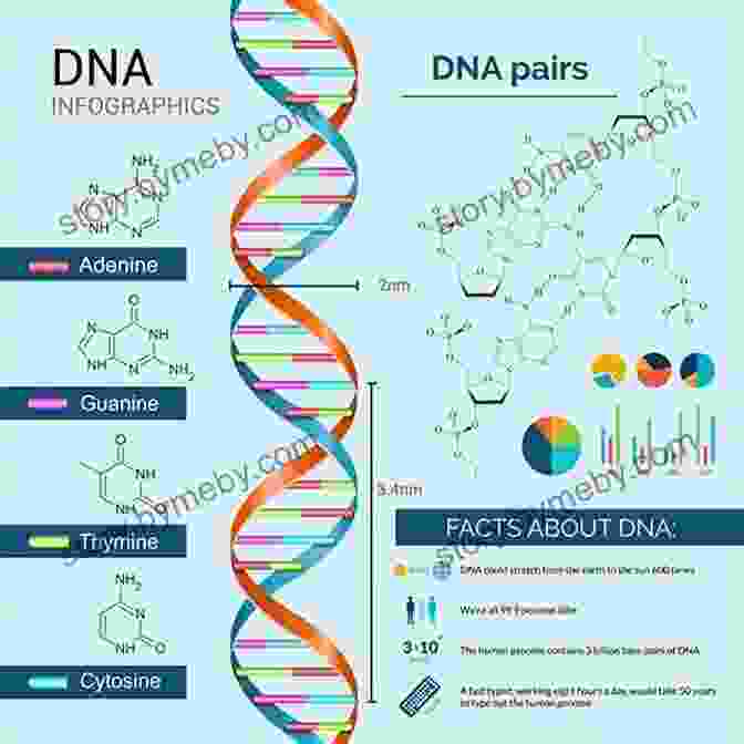 DNA Structure Revealing The Genetic Heritage Of Life Some Assembly Required: Decoding Four Billion Years Of Life From Ancient Fossils To DNA