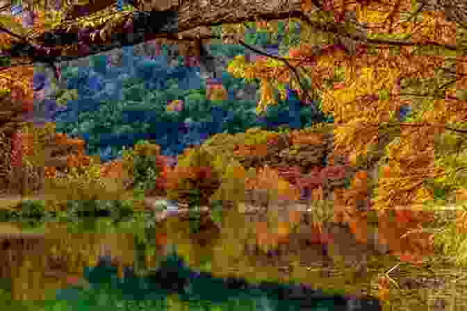 Emerald Lake's Vibrant Fall Foliage, With The Surrounding Mountains Painted In Hues Of Gold And Orange. Banff National Park: Canada (Photo Book 228)