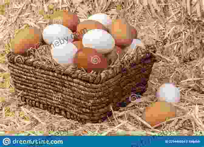 Image Of A Basket Of Freshly Collected Eggs Raising Chickens Goats Backyard Beekeeping For Beginners: 3 In 1 Compilation Step By Step Guide To Raising Happy Backyard Chickens Goats Your First As 30 Days (Self Sufficient Survival)