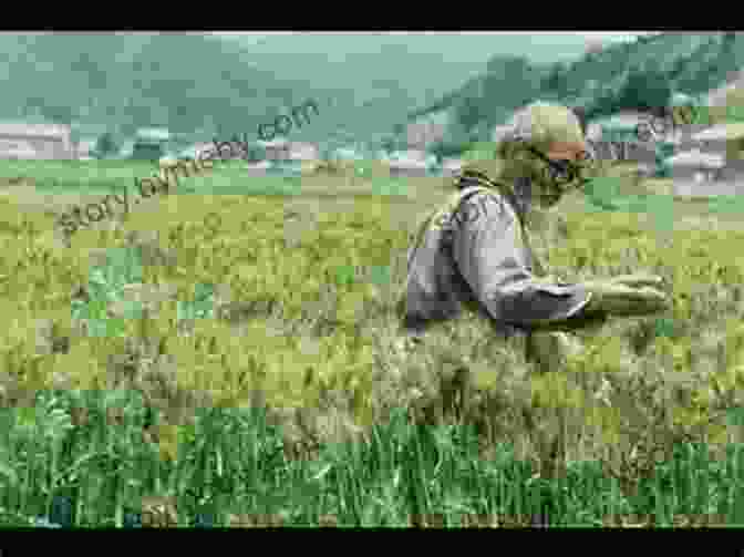 Masanobu Fukuoka In His Rice Field One Straw Revolutionary: The Philosophy And Work Of Masanobu Fukuoka