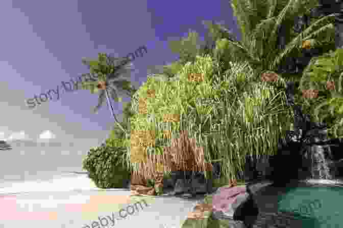 Panoramic View Of A Polynesian Island With Lush Vegetation And White Sandy Beaches Polynesian Paradise Noel Riley Fitch