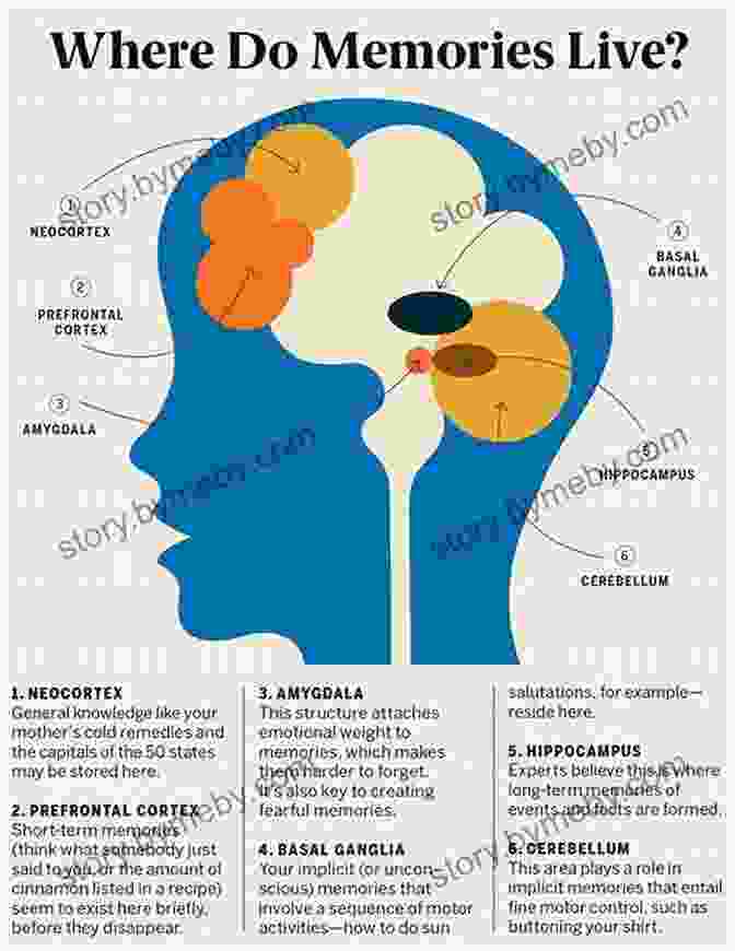 Resonant Brain Networks Conscious Mind Resonant Brain: How Each Brain Makes A Mind