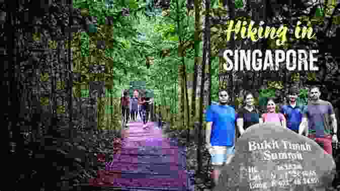 Serene Hiking Trails Of Bukit Timah Nature Reserve, Singapore Lonely Planet Pocket Singapore (Travel Guide)