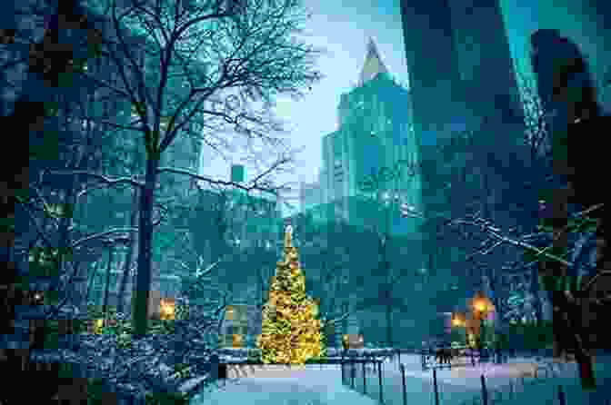 Snowflakes Falling In New York City At Christmas Time A New York Butterfly Christmas