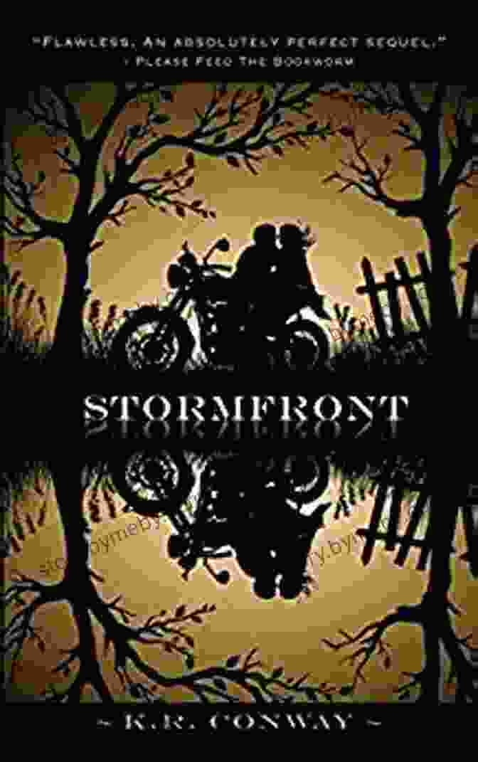 Stormfront Undertow Book Cover With A Stormy Ocean And A Silhouette Of A Woman Standing On The Shore Stormfront (Undertow 2) KR Conway