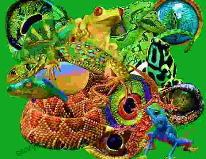 The Fantastic World Of Reptiles Book Cover Featuring A Vibrant Collage Of Reptiles, Including A Green Iguana, A Red Eared Slider Turtle, And A Burmese Python. The Fantastic World Of Reptiles