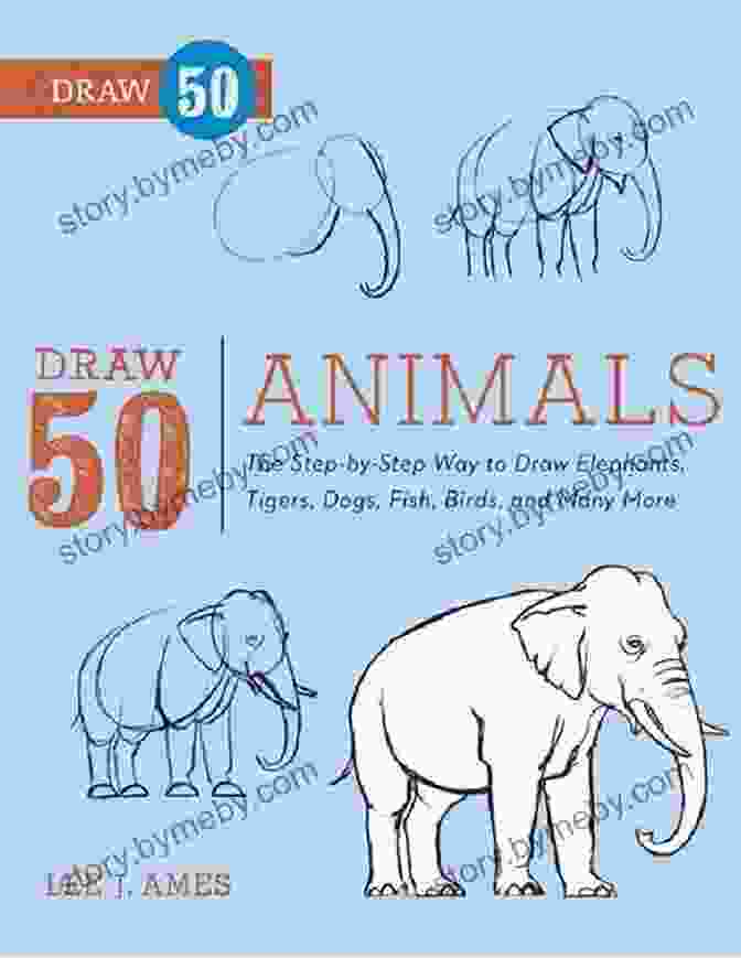 The Step By Step Way To Draw Elephants, Tigers, Dogs, Fish, Birds, And More Book Cover Draw 50 Animals: The Step By Step Way To Draw Elephants Tigers Dogs Fish Birds And Many More