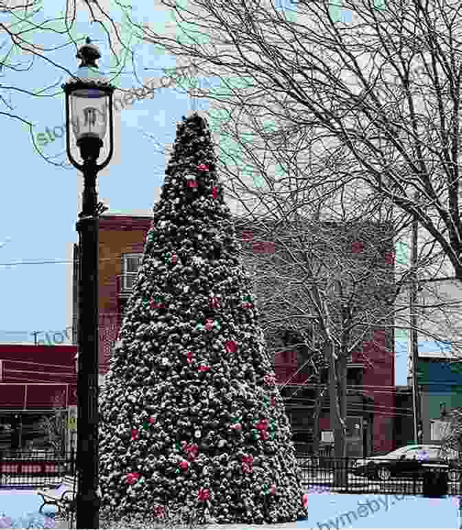 Twenty Big Trucks Arriving In The Town Square With The Christmas Tree Twenty Big Trucks In The Middle Of Christmas