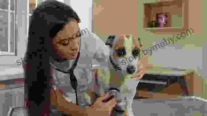 Veterinarian Using A Stethoscope To Examine A Dog I Want To Be A Veterinarian (I Can Read Level 1)