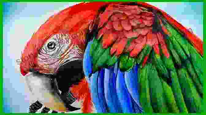 Vibrant Acrylic Painting Of A Colorful Parrot Paint Realistic Animals In Acrylic With Lee Hammond