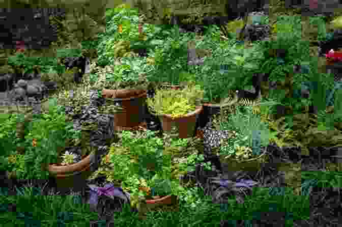 Vibrant Herb Garden Teeming With Medicinal Wonders Native American Herbalist S Bible: 12 In 1: Discover 400+ Herbal Remedies And Medicinal Herbs To Naturally Improve Your Wellness Create Your Own Herbal Dispensatory And Apothecary Table