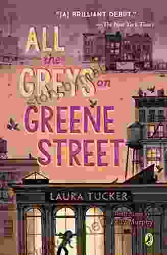 All The Greys On Greene Street