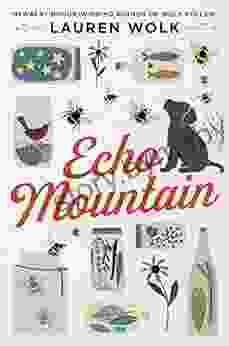 Echo Mountain Lauren Wolk