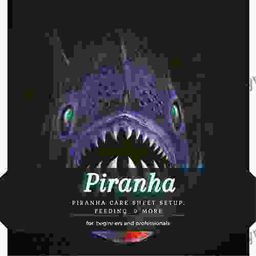 Piranha: Piranha Care Sheet Setup Feeding More